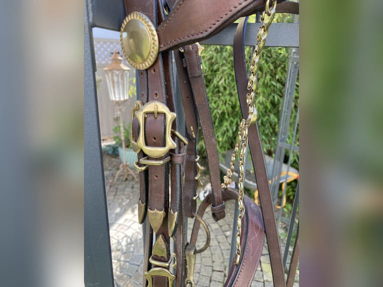 Working Equitation: Original Signum Sattelservice Offizierszaum, braun, mit Zügeln, topp