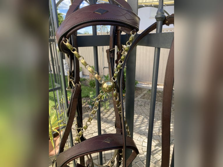 Working Equitation: Original Signum Sattelservice Offizierszaum, braun, mit Zügeln, topp