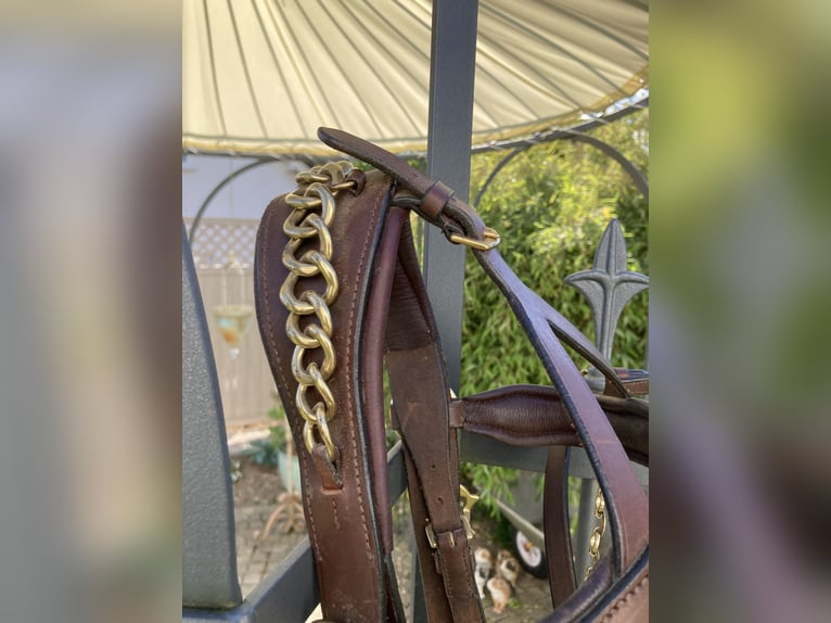 Working Equitation: Original Signum Sattelservice Offizierszaum, braun, mit Zügeln, topp