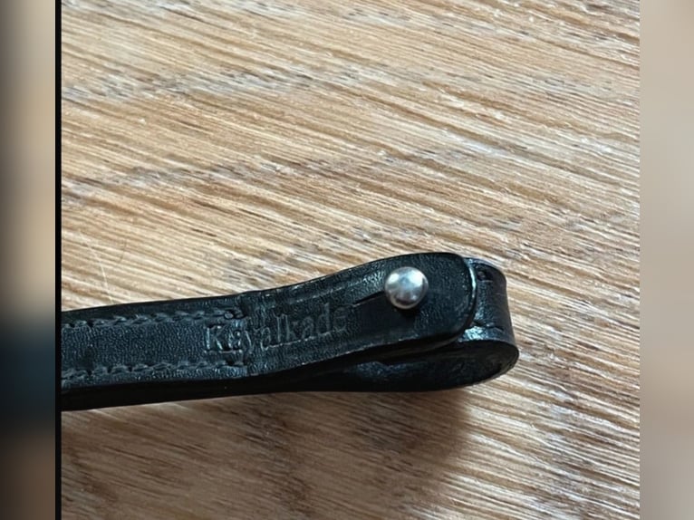 Kavalkade Stirnriemen NEU