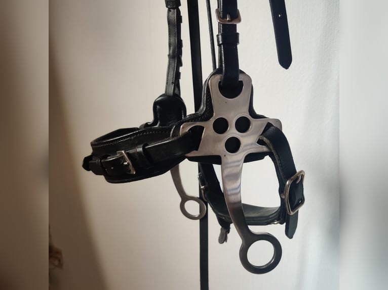 Waldhausen X-Line Hackamore Schwarz Neuwertig 