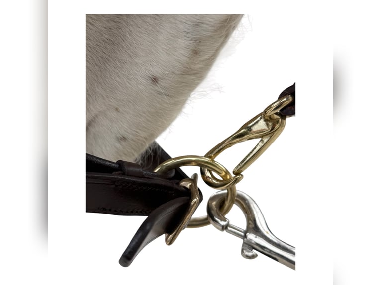 Anatomisch geformtes Halfter extra dick gepolstert