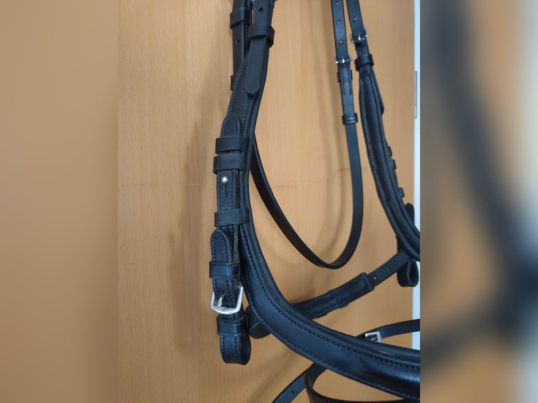Anatomische Trense von Waldhausen