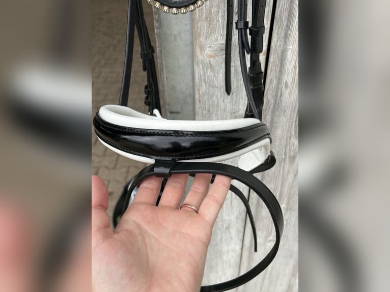 Ascot Trense in schwarz 