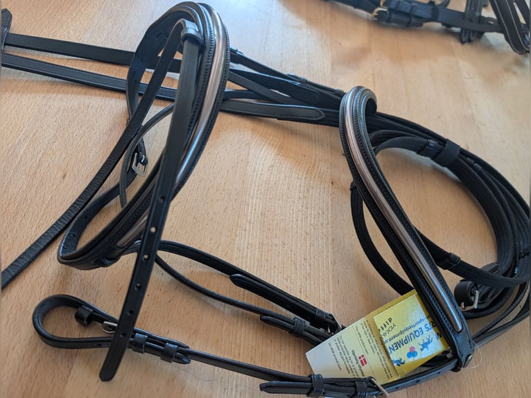 Mit goldfarbenen Paspol