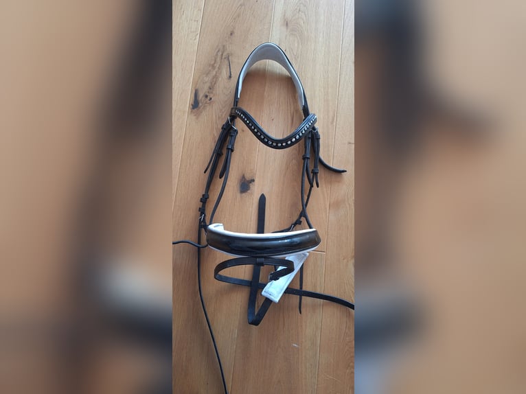 Selten genutzte Trense mit Lack