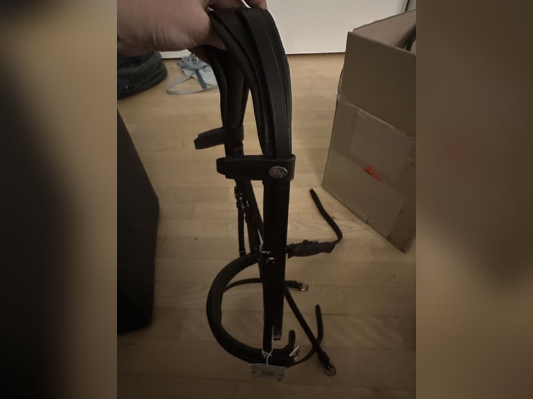 Stübben Magic Tack Switch Trense braun VB