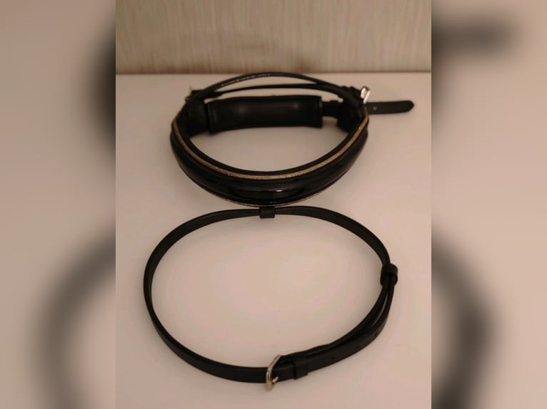⭐Nasenriemen Sperrriemen Trense Lack Gold  Gr. VB(Pony) ⭐