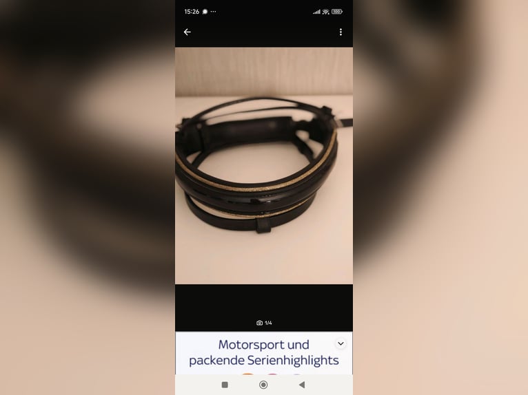 ⭐Nasenriemen Sperrriemen Trense Lack Gold  Gr. VB(Pony) ⭐