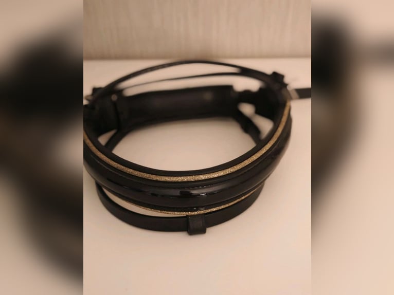 ⭐Nasenriemen Sperrriemen Trense Lack Gold  Gr. VB(Pony) ⭐