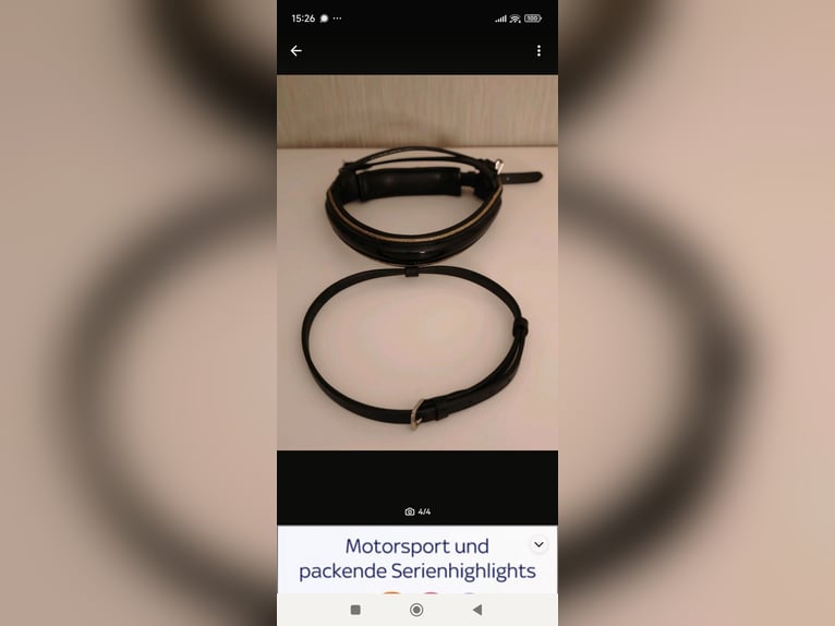 ⭐Nasenriemen Sperrriemen Trense Lack Gold  Gr. VB(Pony) ⭐