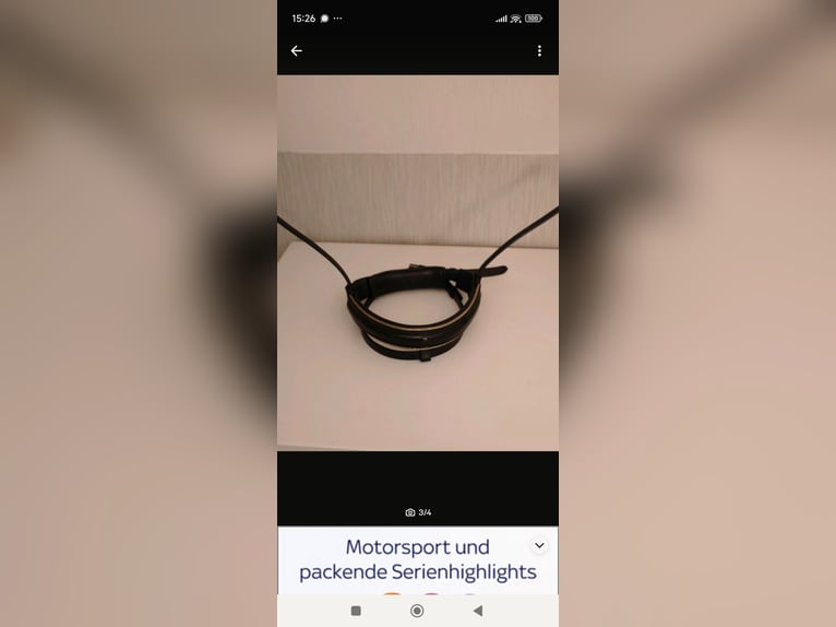 ⭐Nasenriemen Sperrriemen Trense Lack Gold  Gr. VB(Pony) ⭐