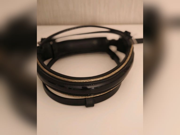 ⭐Nasenriemen Sperrriemen Trense Lack Gold  Gr. VB(Pony) ⭐