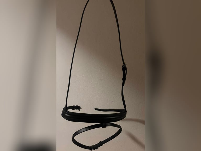 Trensen Teil mit Maulsperre