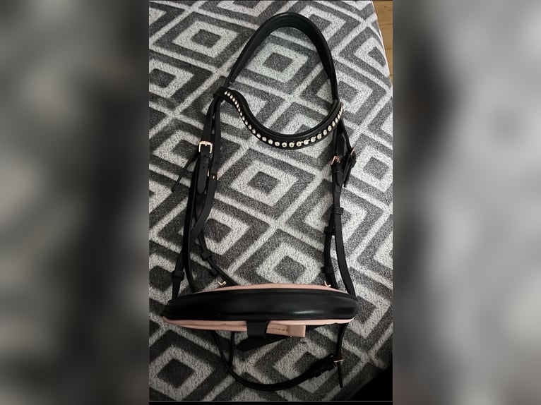 Waldhausen X - Line Rose Trense