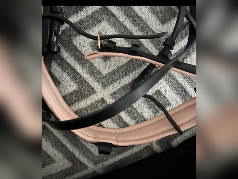 Waldhausen X - Line Rose Trense