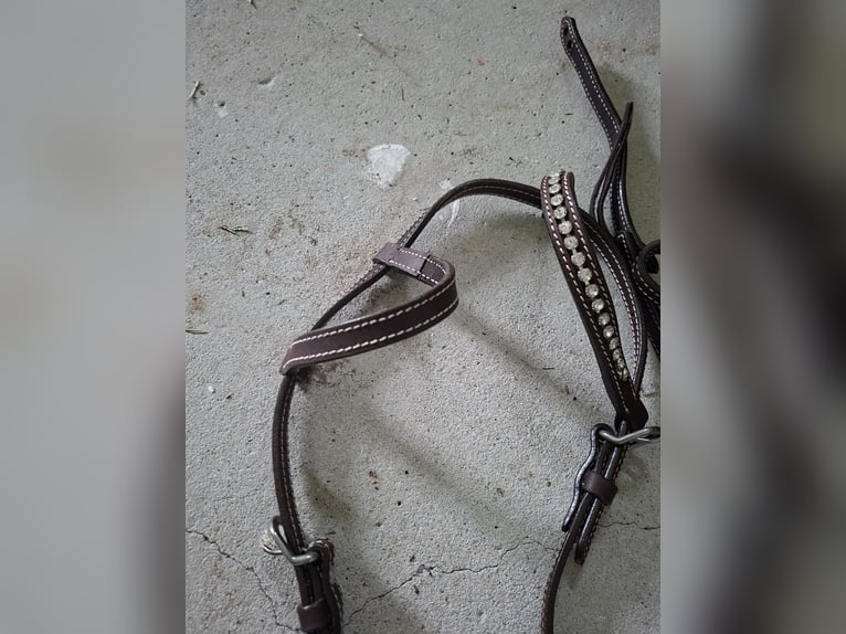 Einohr westerntrense