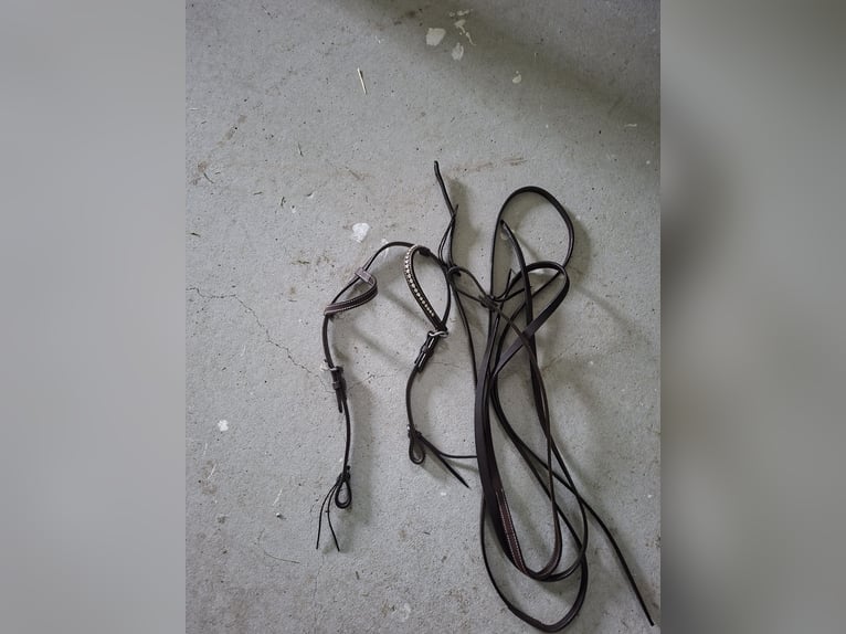 Einohr westerntrense