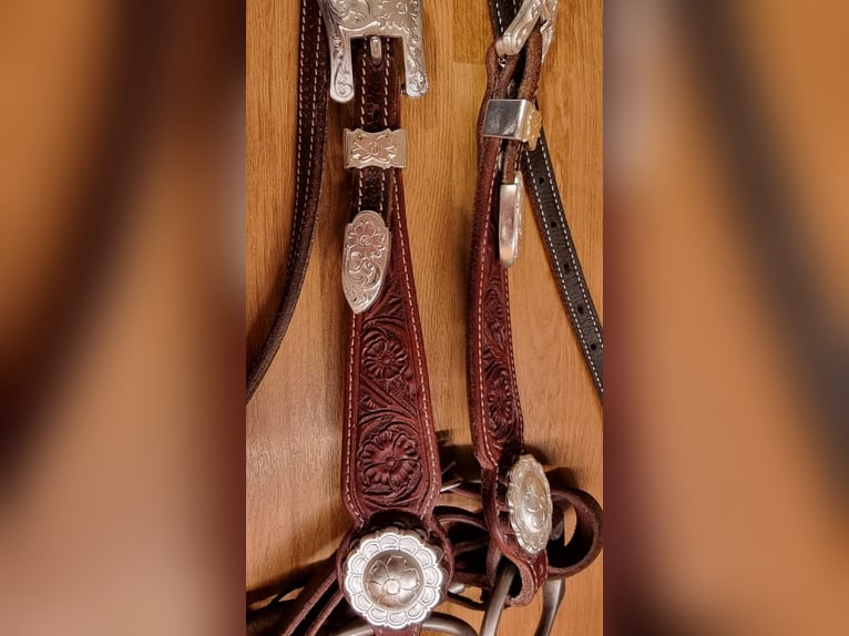 Kopfstück von Reitsport Kandern optional mit Harnesszügeln