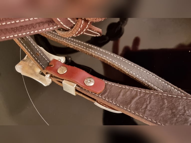 Kopfstück von Reitsport Kandern optional mit Harnesszügeln