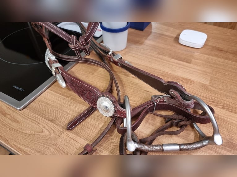 Kopfstück von Reitsport Kandern optional mit Harnesszügeln