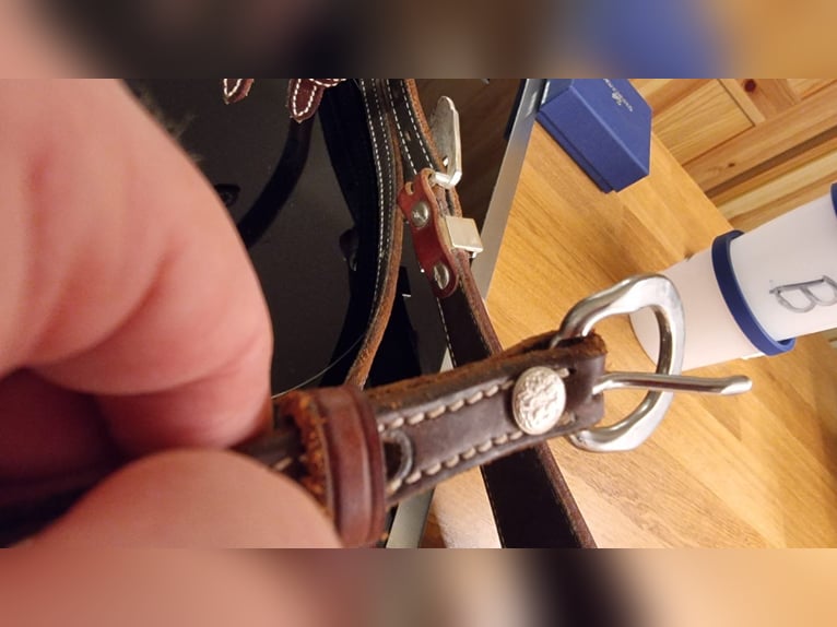 Kopfstück von Reitsport Kandern optional mit Harnesszügeln