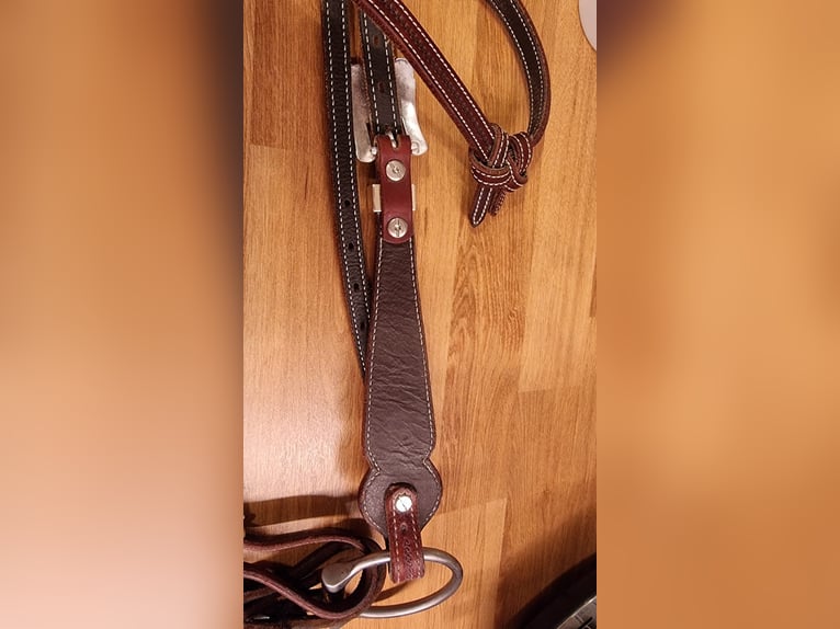 Kopfstück von Reitsport Kandern optional mit Harnesszügeln