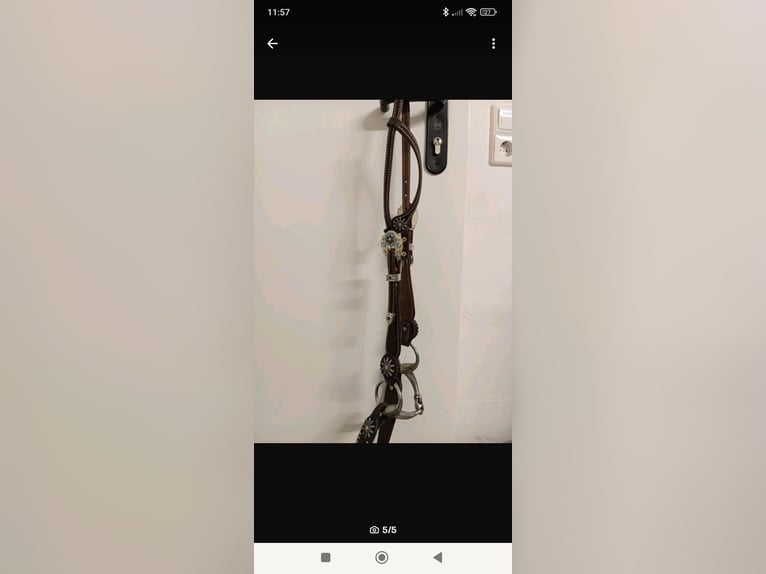 Super schöne Westerntrense mit Zügel 