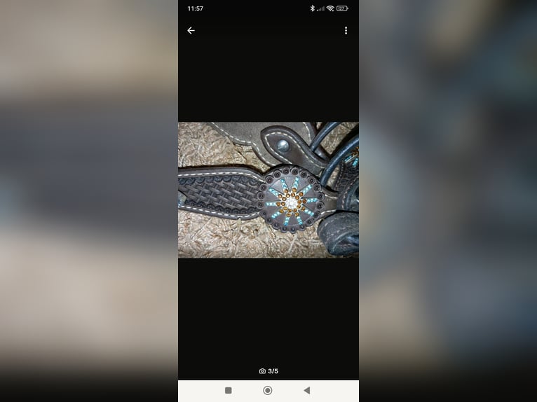 Super schöne Westerntrense mit Zügel 