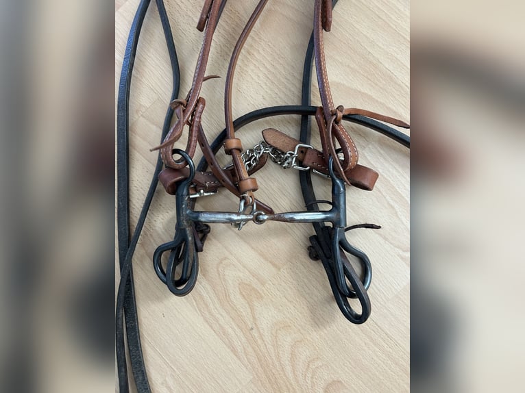 Western Trense inkl. Zügeln und Gebiss (Baby Bit)
