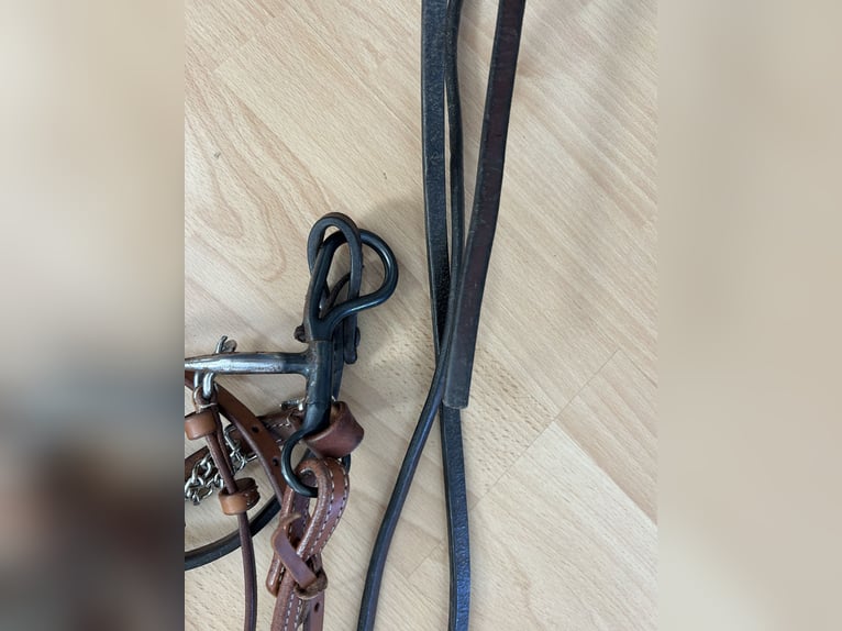 Western Trense inkl. Zügeln und Gebiss (Baby Bit)