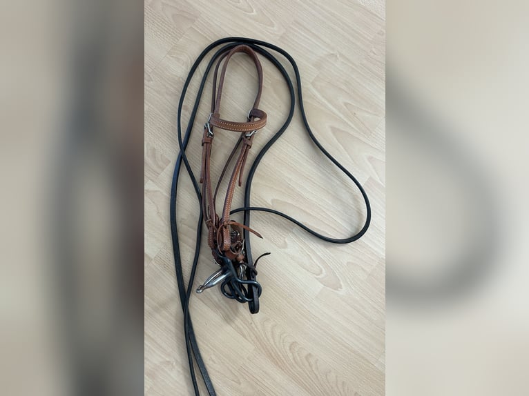 Western Trense inkl. Zügeln und Gebiss (Baby Bit)