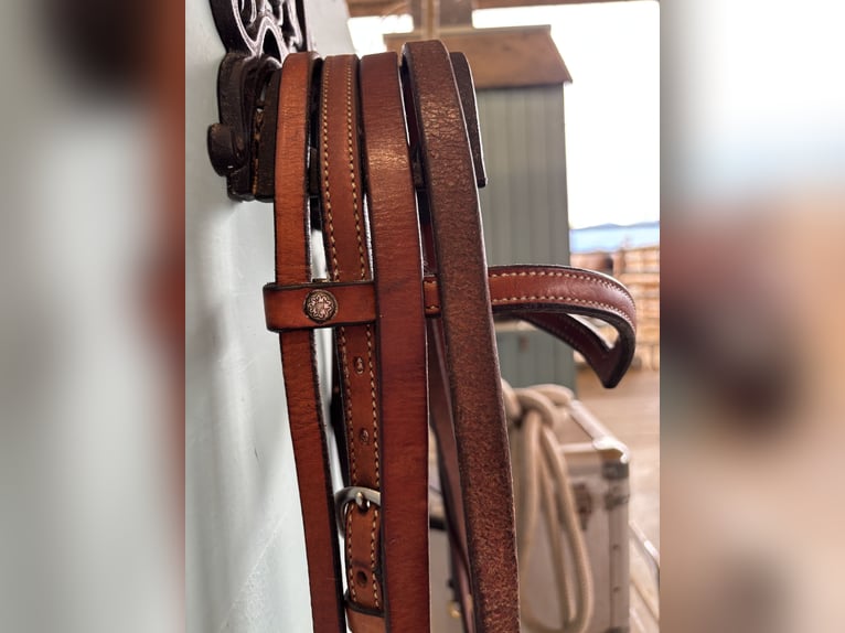Westerntrense mit Gebiss und Zügel (12.5)