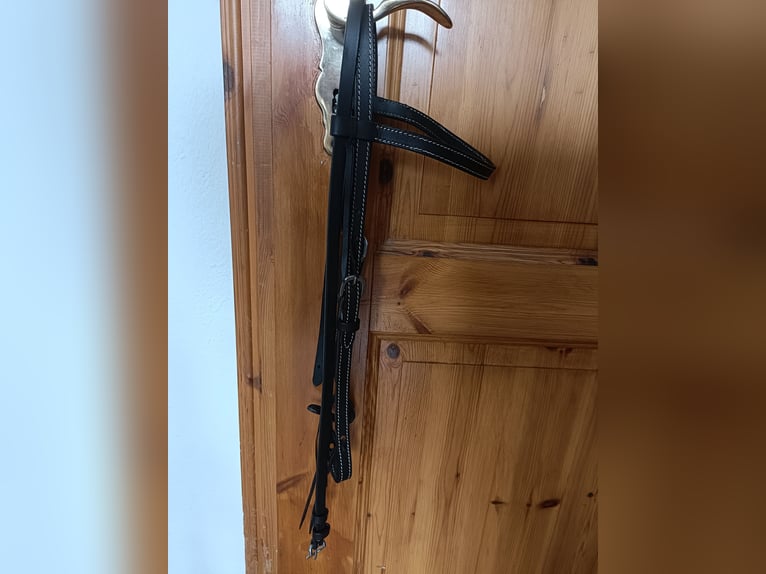 Westerntrense/ Trense/ Kopfstück