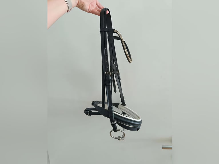 Zaumzeug Gr. VB mit Gebiss (14,5 cm) – Top Zustand