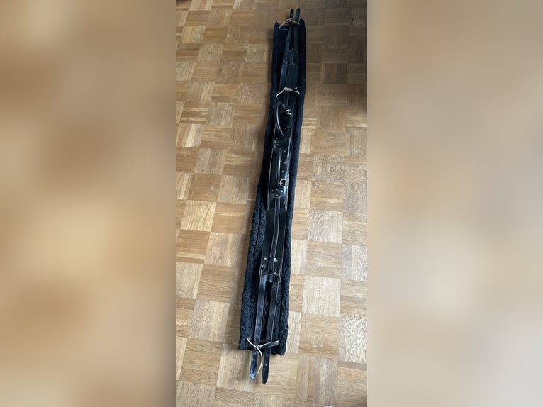 Vollleder-Voltigiergurt