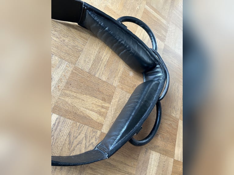 Vollleder-Voltigiergurt