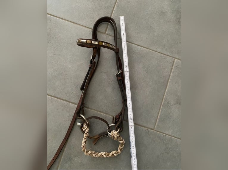 Sidepull braunes Leder