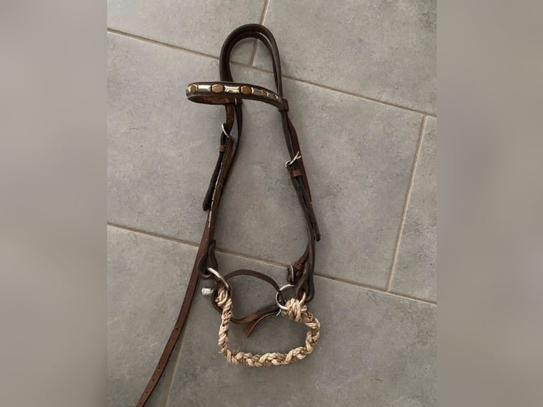 Sidepull braunes Leder