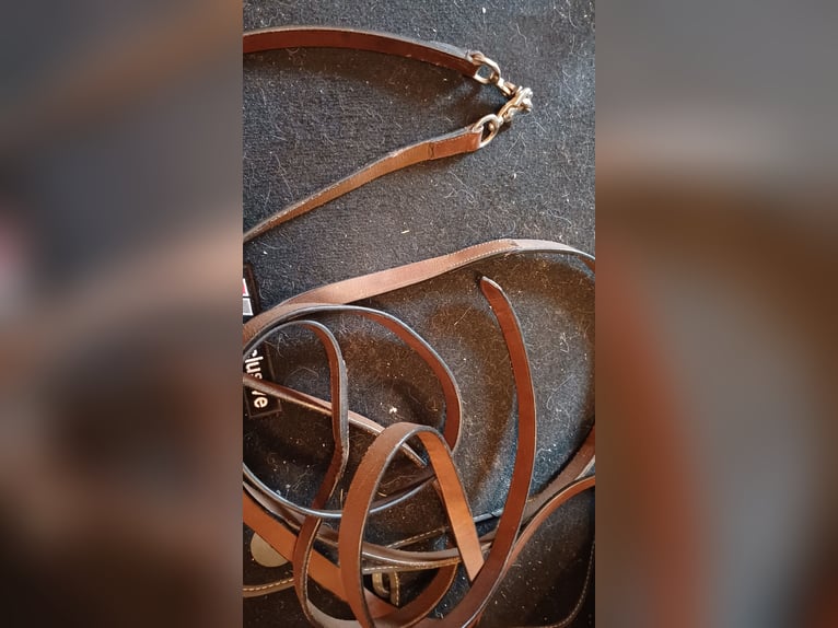 Braune Westernzügel 