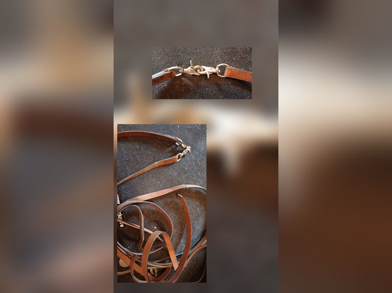 Braune Westernzügel 