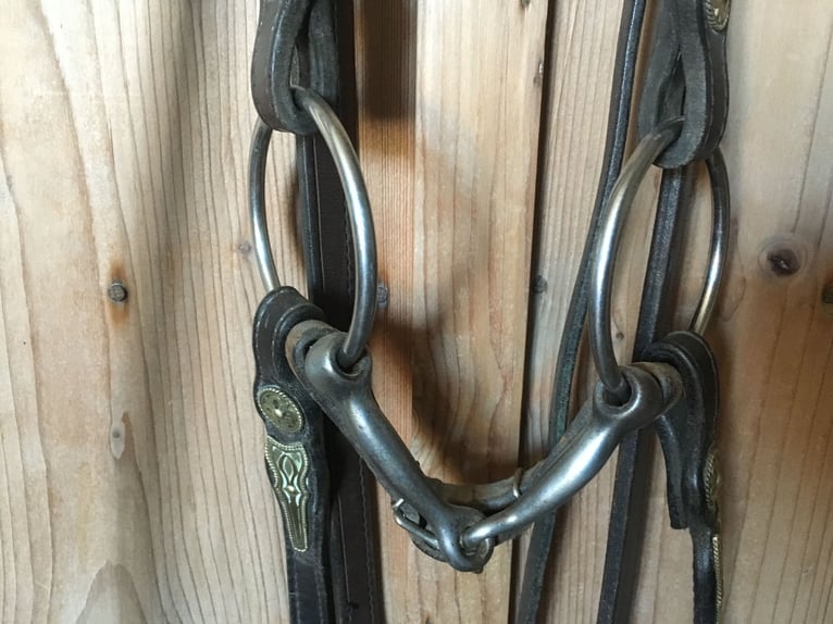 Westernzaum mit Zügeln