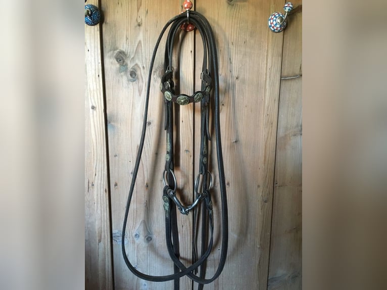 Westernzaum mit Zügeln