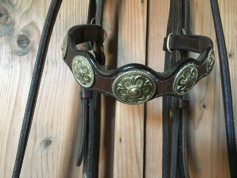 Westernzaum mit Zügeln