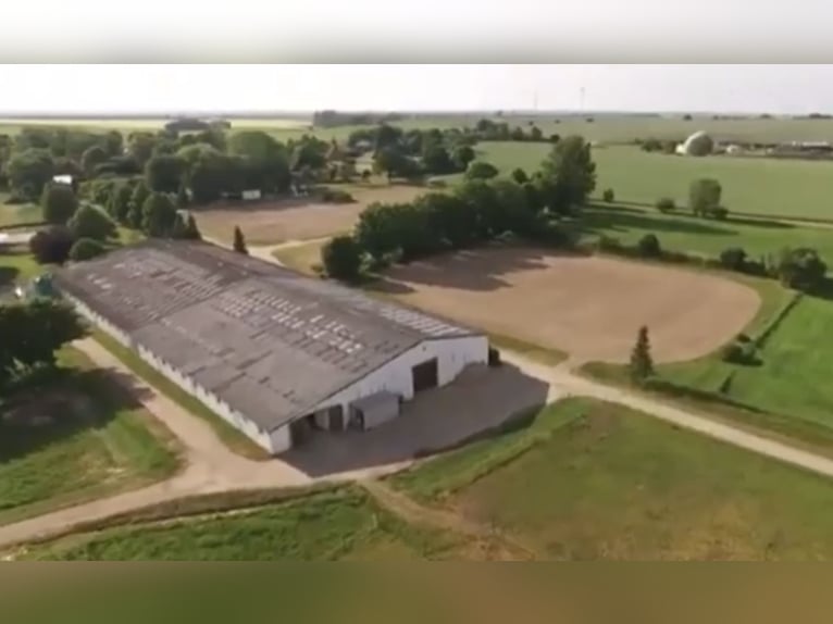 15 ha Reitanlage in Ostseenähe – arrondierte Flächen