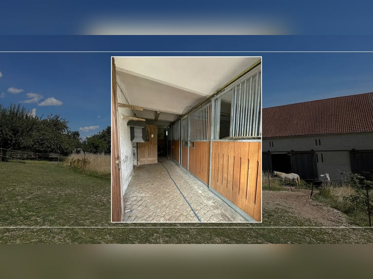 3-Seiten-Hof als Wohlfühlort - Wohnhaus, Pferdehaltung mit 1,6 ha Weidefläche & opt. 4 ha Ackerland