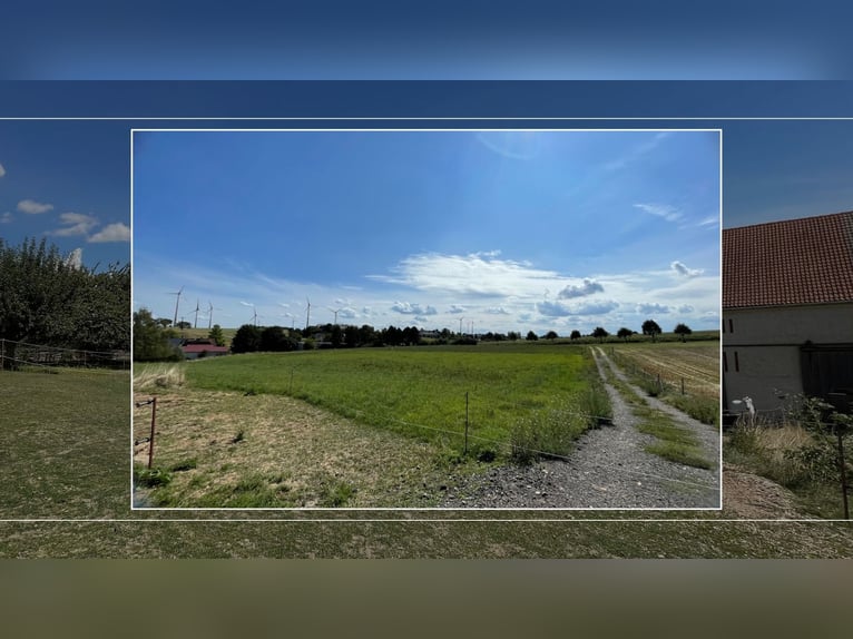 3-Seiten-Hof als Wohlfühlort - Wohnhaus, Pferdehaltung mit 1,6 ha Weidefläche & opt. 4 ha Ackerland