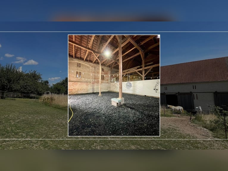 3-Seiten-Hof als Wohlfühlort - Wohnhaus, Pferdehaltung mit 1,6 ha Weidefläche & opt. 4 ha Ackerland