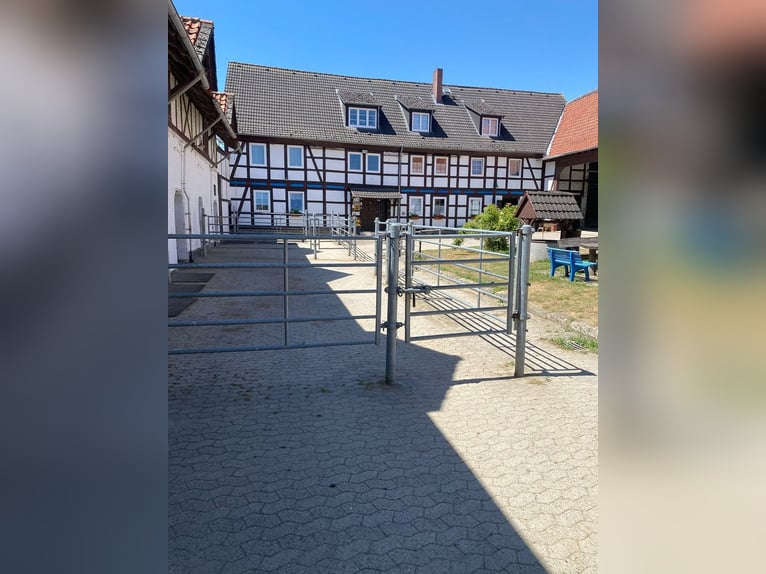 384-25 Reiterhof mit ***Hotel und Pferde-Pensionsbetrieb in Niedersachsen