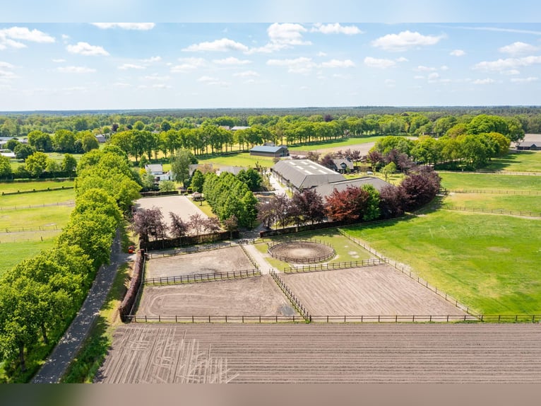 A beautiful, fully equipped equestrian facility located in a fantastic location